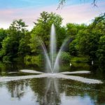 Creating a Serene Outdoor Oasis: The Power of Water Features