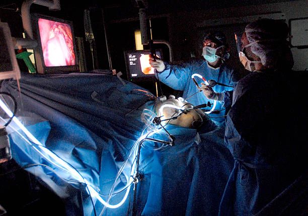 The Gift That Lives On: Understanding the Meaning of Whole Body Donation